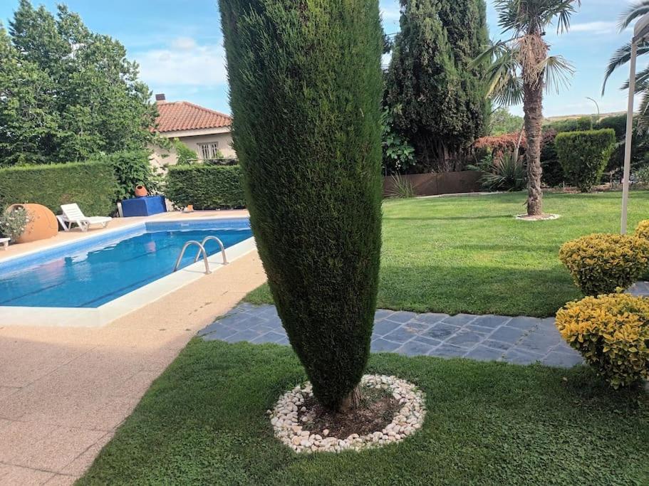 Madrid City Modern Apartment In Villa, Free Wifi Arroyomolinos Bagian luar foto