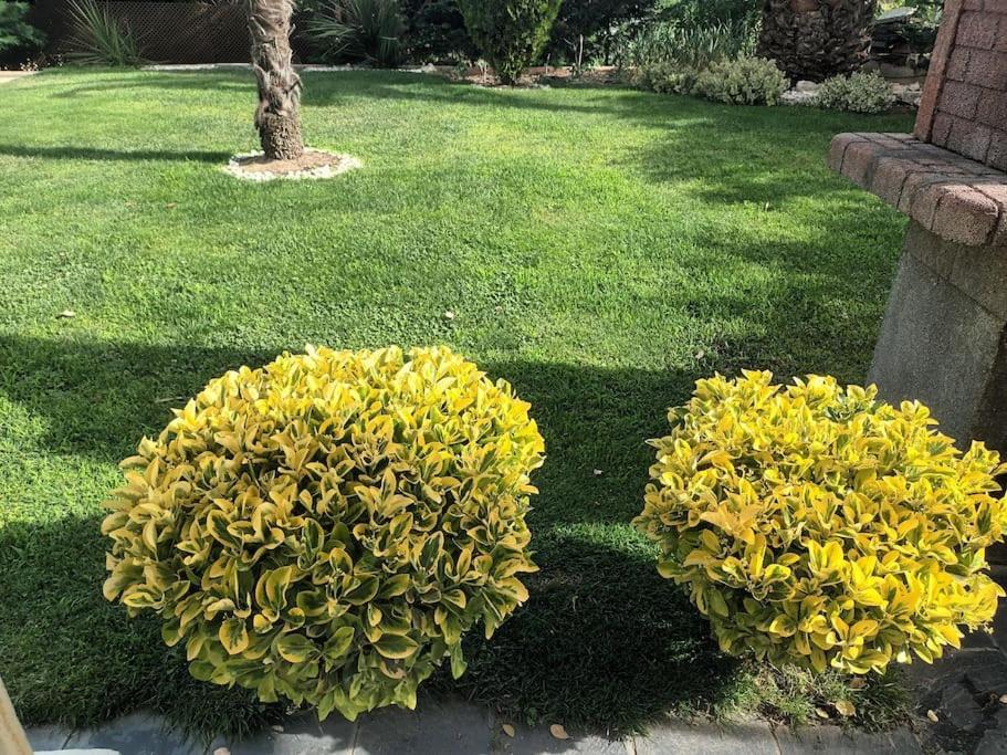 Madrid City Modern Apartment In Villa, Free Wifi Arroyomolinos Bagian luar foto
